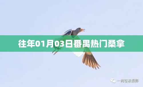 番禺热门桑拿,一月三日盛况回顾