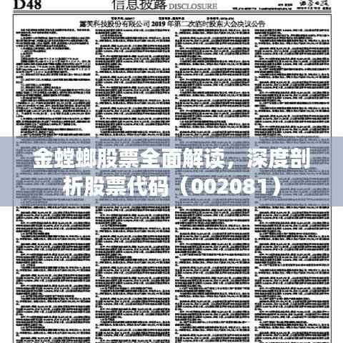 金螳螂股票全面解读，深度剖析股票代码（002081）