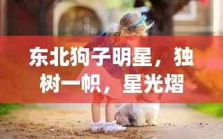 东北狗子明星,独树一帜,星光熠熠闪耀荧屏