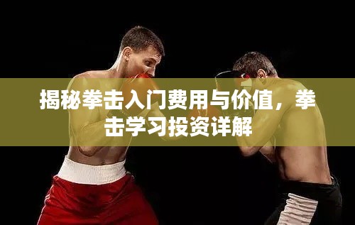 揭秘拳击入门费用与价值,拳击学习投资详解