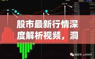 股市最新行情深度解析视频,洞悉市场走势!
