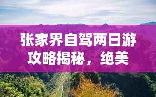 张家界自驾两日游攻略揭秘,绝美风光与独特体验一网打尽!