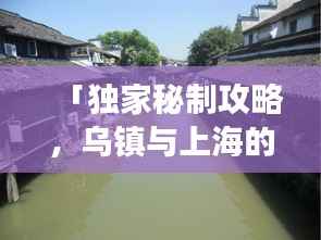 「独家秘制攻略,乌镇与上海的浪漫之旅,一站畅游杭州乌镇与魔都上海」