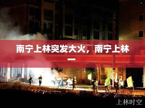 南宁上林突发大火,南宁上林一