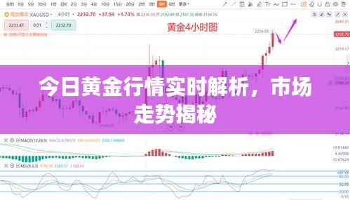 今日黄金行情实时解析，市场走势揭秘
