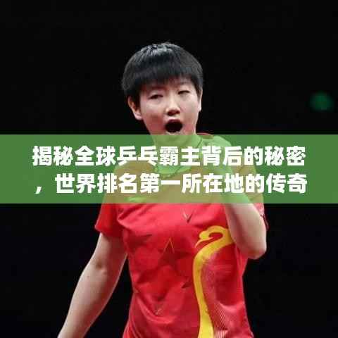 揭秘全球乒乓霸主背后的秘密,世界排名第一所在地的传奇之旅