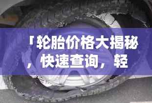 「轮胎价格大揭秘,快速查询,轻松掌握!」