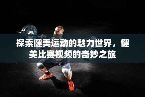 探索健美运动的魅力世界,健美比赛视频的奇妙之旅