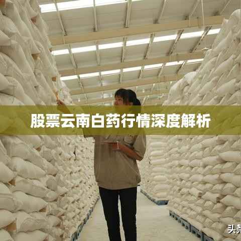 股票云南白药行情深度解析