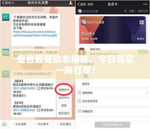 皇台最新动态揭秘,今日消息一网打尽!