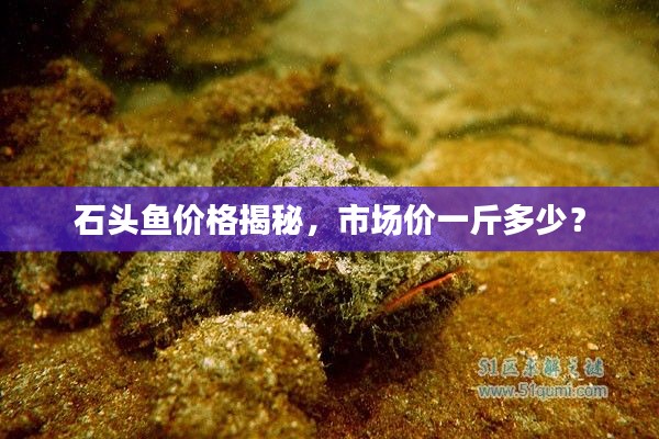 自作主张 第3页