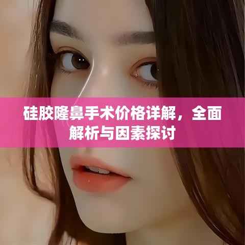硅胶隆鼻手术价格详解,全面解析与因素探讨