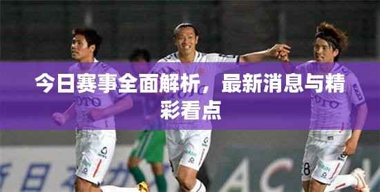 今日赛事全面解析，最新消息与精彩看点