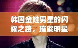 韩国金姓男星的闪耀之路,璀璨明星的光辉历程