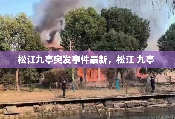 贵卖贱买 第2页