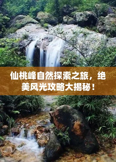 仙桃峰自然探索之旅,绝美风光攻略大揭秘!