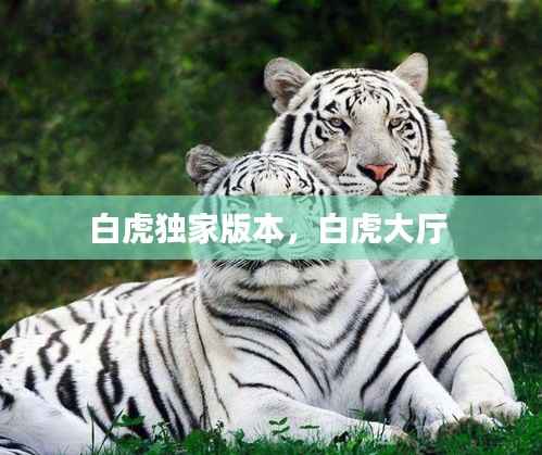 去就之分 第2页