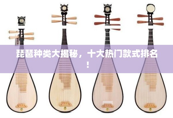琵琶种类大揭秘,十大热门款式排名!
