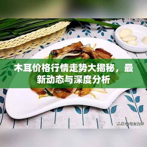 木耳价格行情走势大揭秘,最新动态与深度分析