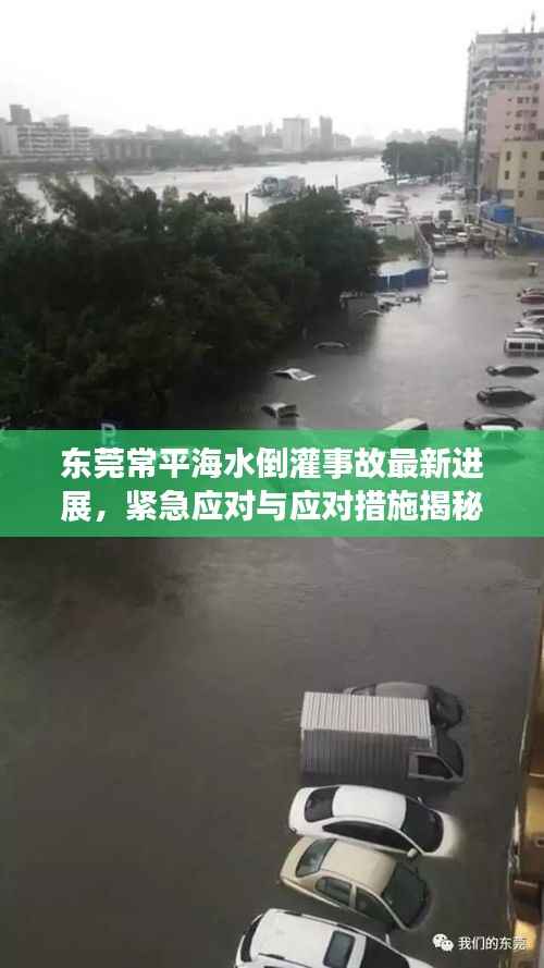 东莞常平海水倒灌事故最新进展,紧急应对与应对措施揭秘