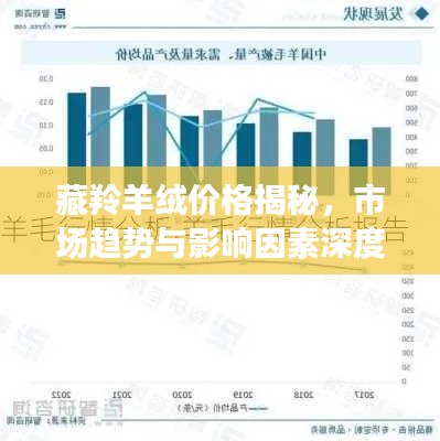 藏羚羊绒价格揭秘,市场趋势与影响因素深度探讨