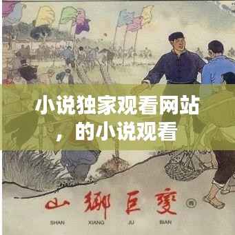 小说独家观看网站,的小说观看