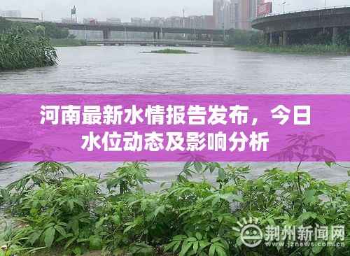 河南最新水情报告发布,今日水位动态及影响分析