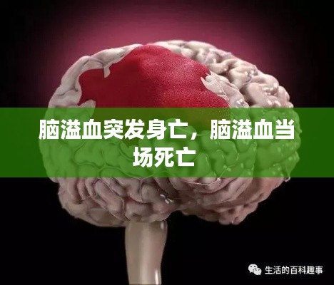 脑溢血突发身亡,脑溢血当场死亡