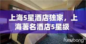 上海5星酒店独家,上海著名酒店5星级