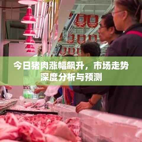 今日猪肉涨幅飙升,市场走势深度分析与预测