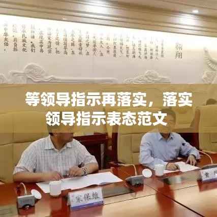等领导指示再落实,落实领导指示表态范文