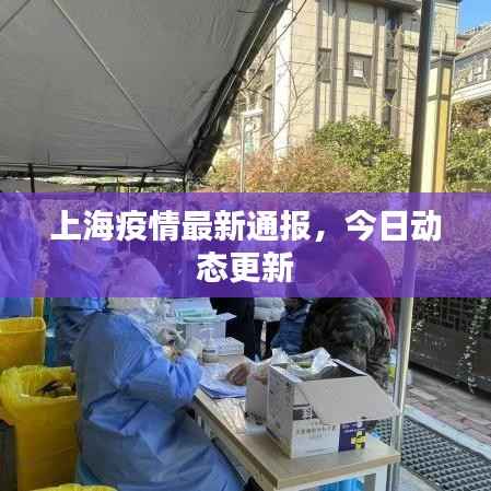 上海疫情最新通报,今日动态更新