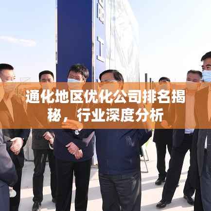 通化地区优化公司排名揭秘,行业深度分析