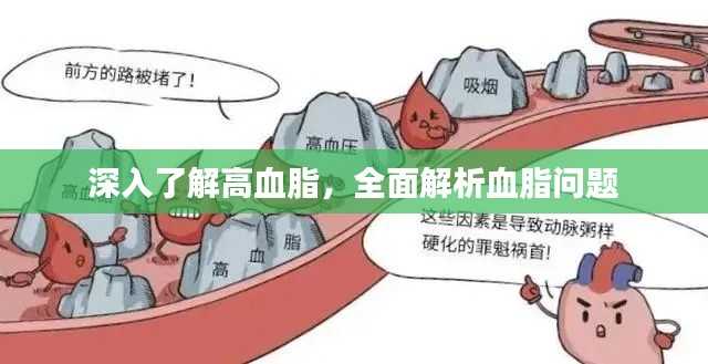 深入了解高血脂,全面解析血脂问题