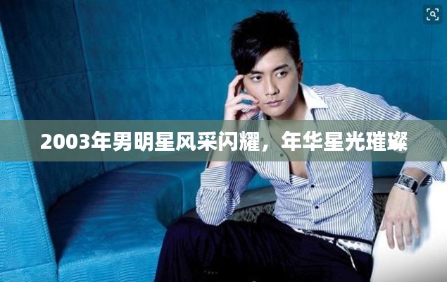 2003年男明星风采闪耀，年华星光璀璨