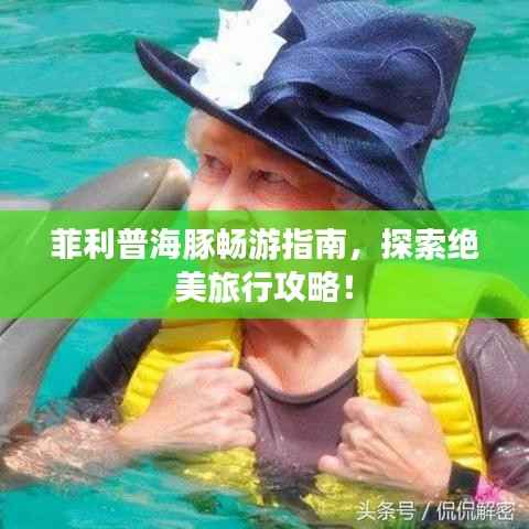 菲利普海豚畅游指南,探索绝美旅行攻略!