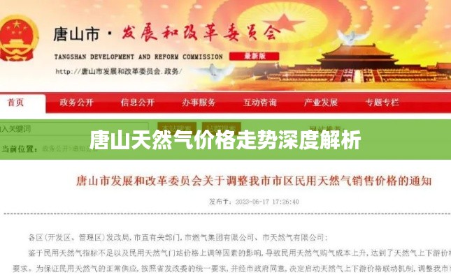 唐山天然气价格走势深度解析
